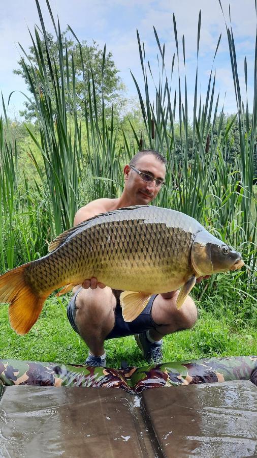 Les Etangs Du Moulin D'Harcy Bed & Breakfast Lonny Dış mekan fotoğraf
