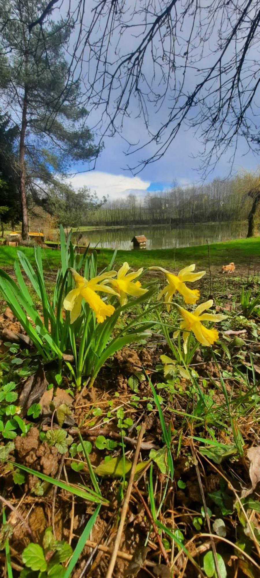 Les Etangs Du Moulin D'Harcy Bed & Breakfast Lonny Dış mekan fotoğraf